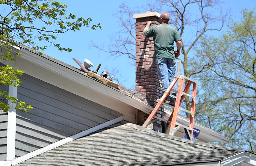 Chimney & Fireplace Inspections Services in Lewisville, TX